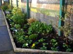 Wigan border full of new plants